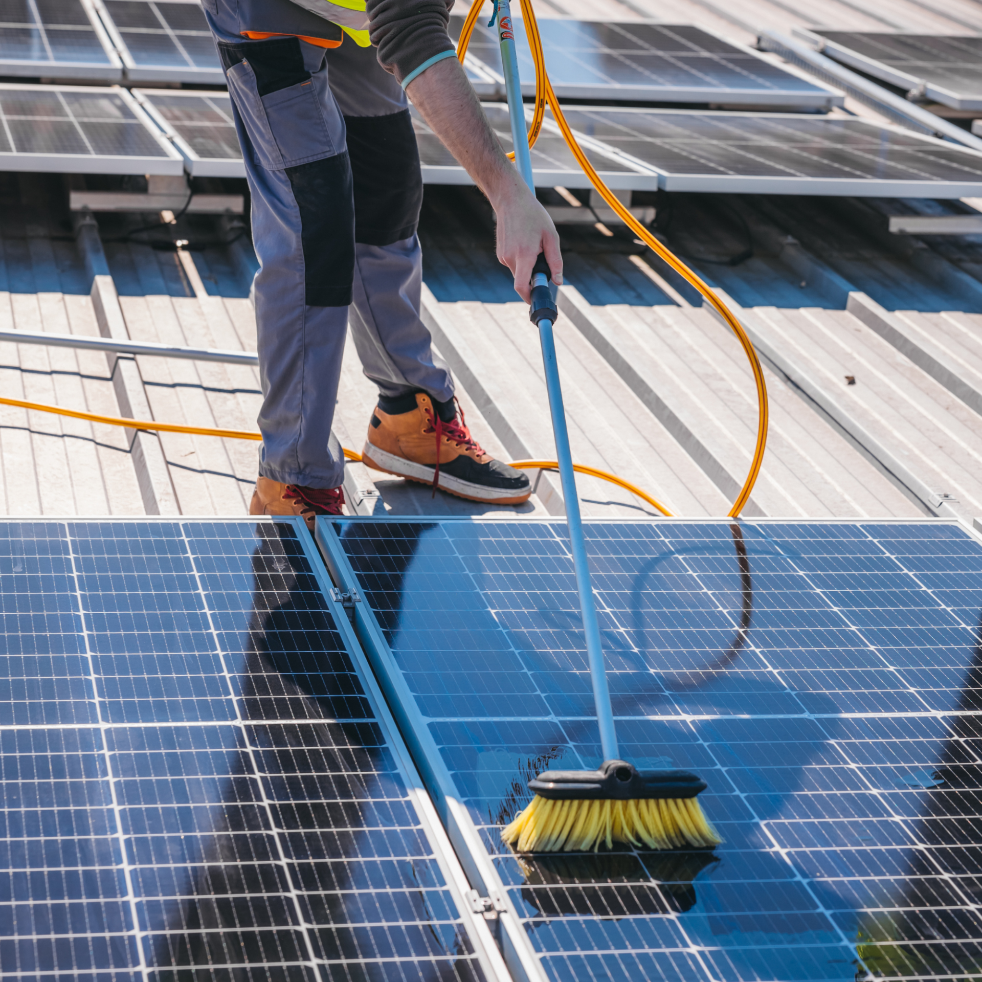 claening solar panels on a roof in wellington