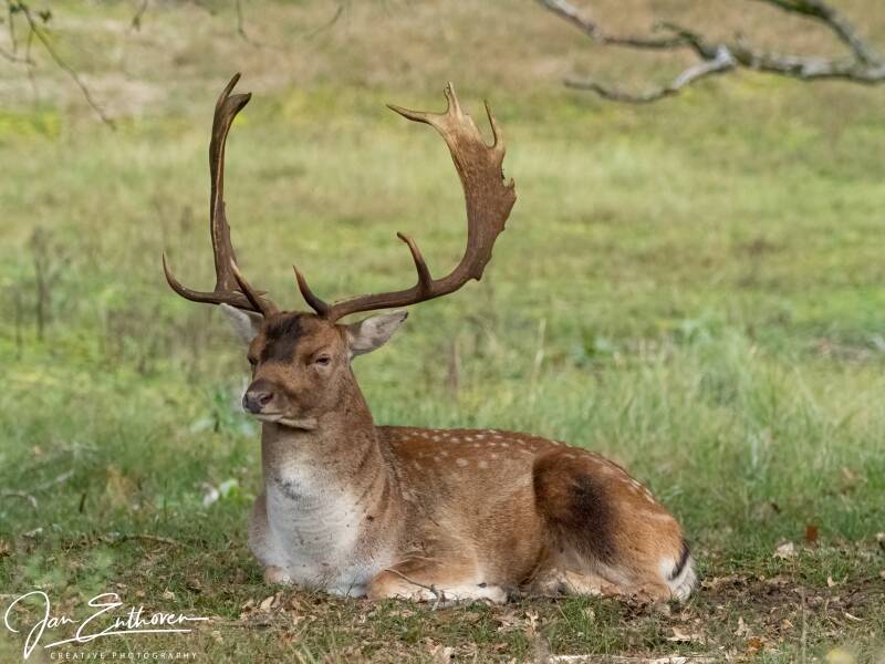 aa180272-bewerkt-bewerkt-standard.jpg - Amsterdamse Waterleiding duinen