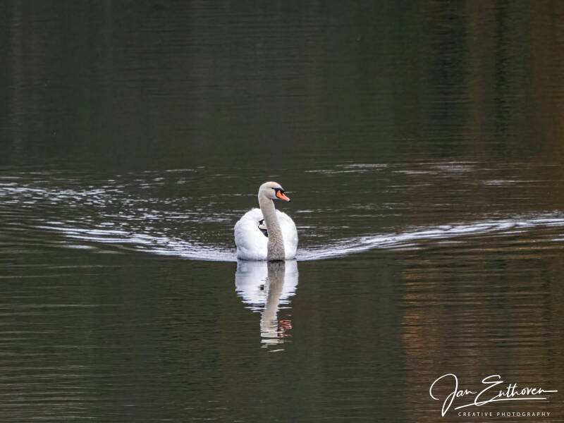aa310410-bewerkt-bewerkt-standard.jpg - Amsterdamse Waterleiding duinen