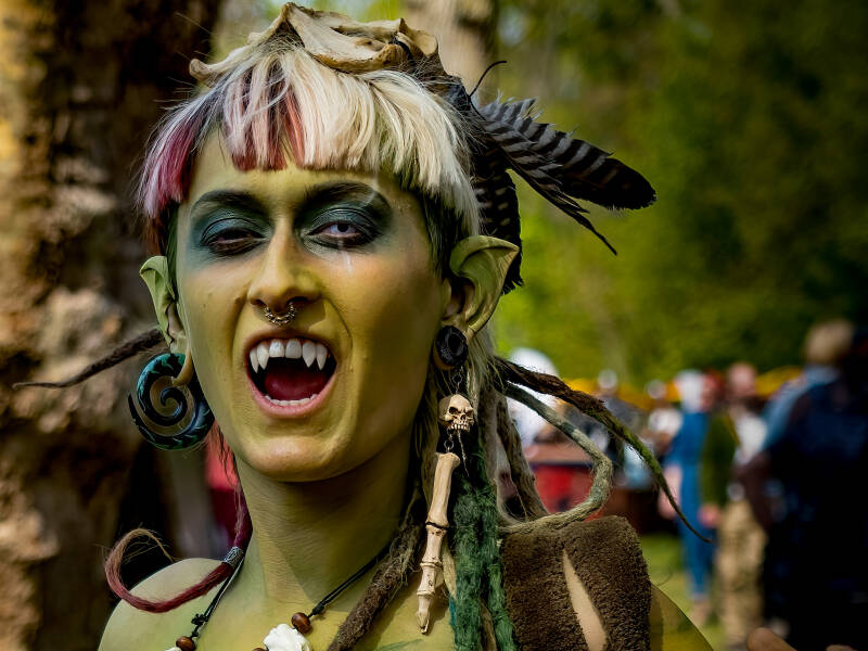 elfiahz-86-1.jpg - Elfia Haarzuilen 2022