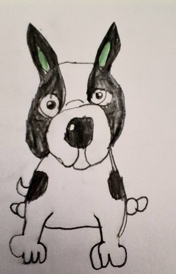 Dog drawing black and white pencil