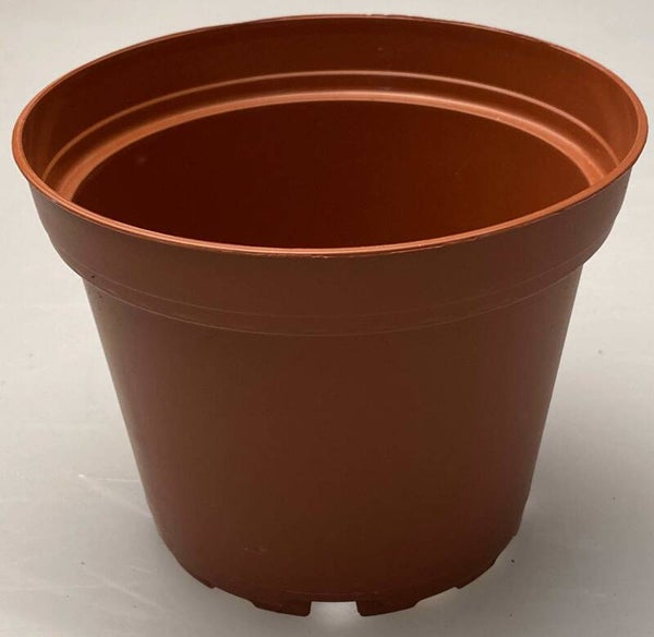 Binnenpotje  Ø 11 cm (Hoogte 8,4cm) 10 stuks