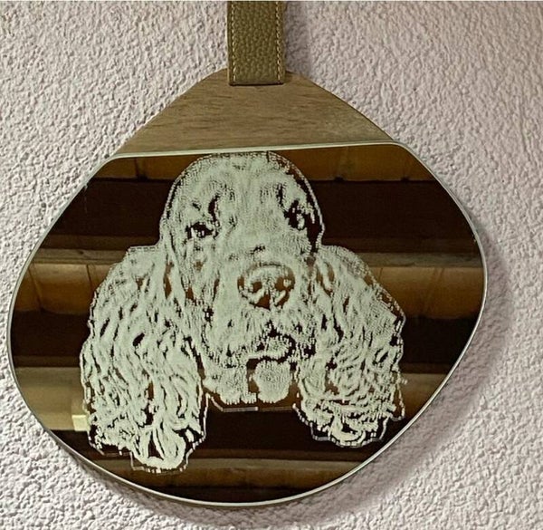 Spiegel " Spaniel "