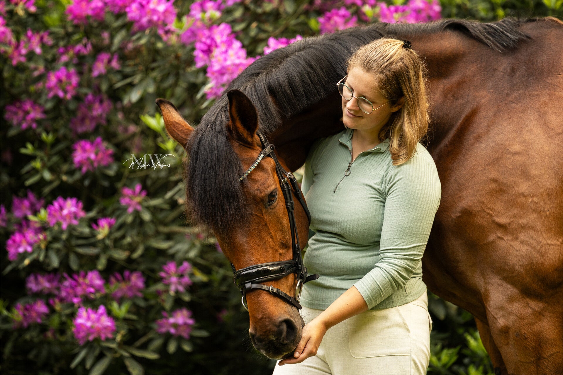 paardenfotograaf Apeldoorn