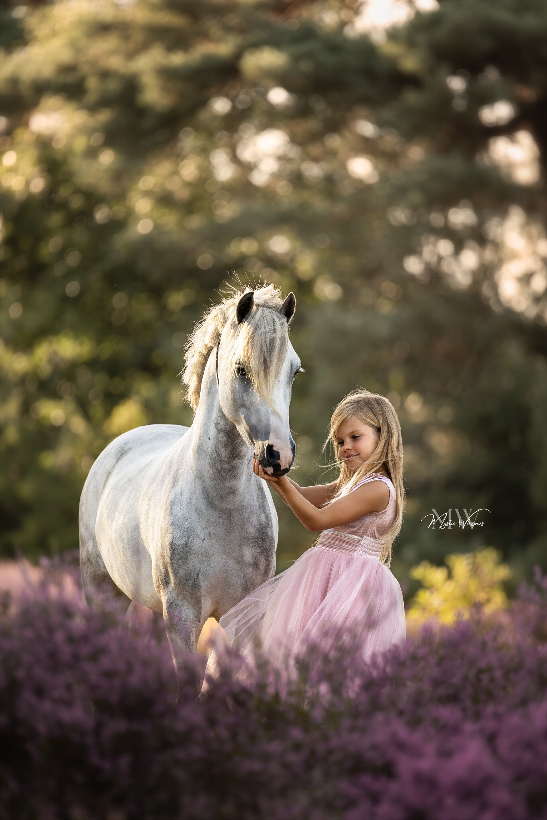 paardenfotograaf Veluwe