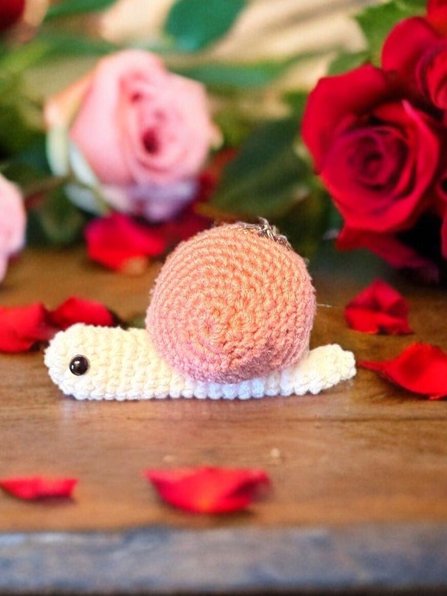 Schnecke