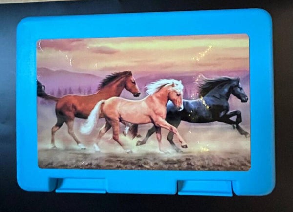 Kinder Znünibox rennende Pferde