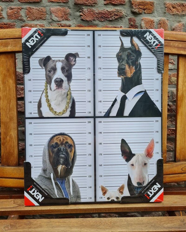 Reinders! Most Wanted Dogs - deco panel (b40xh50cm)