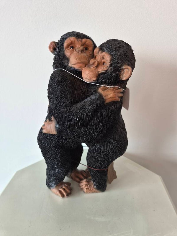 Goldbach - knuffelende chimpansees