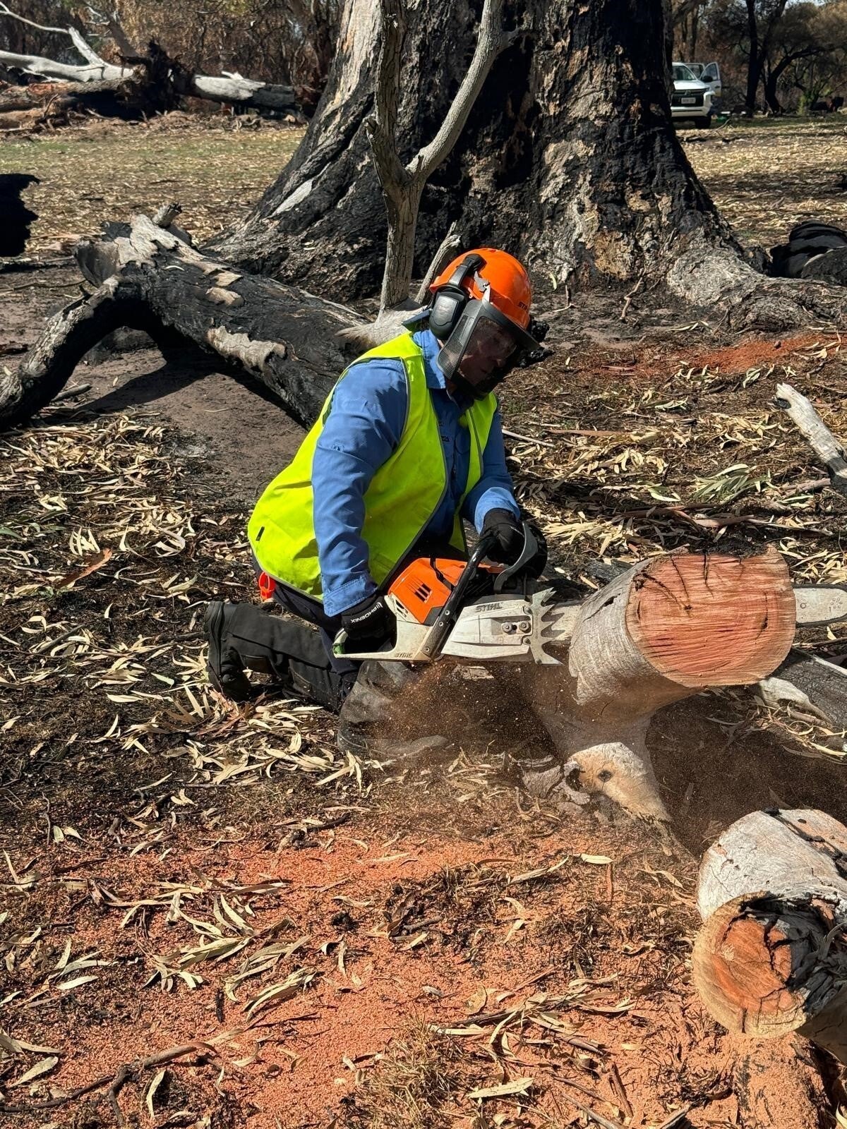 person using a chainsaw on a log after chainsaw training
