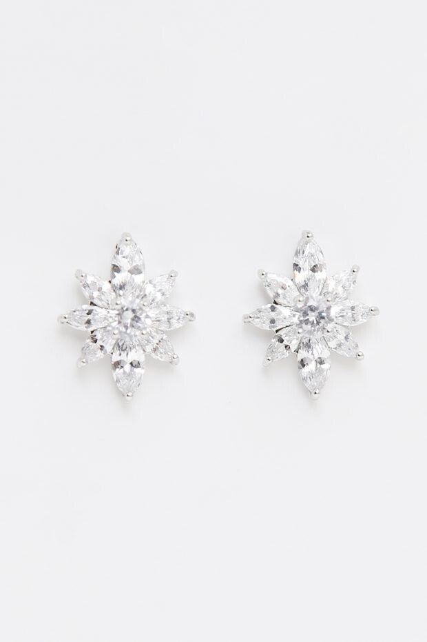 Silver Star Sparkle Earring - Richard Designs E61