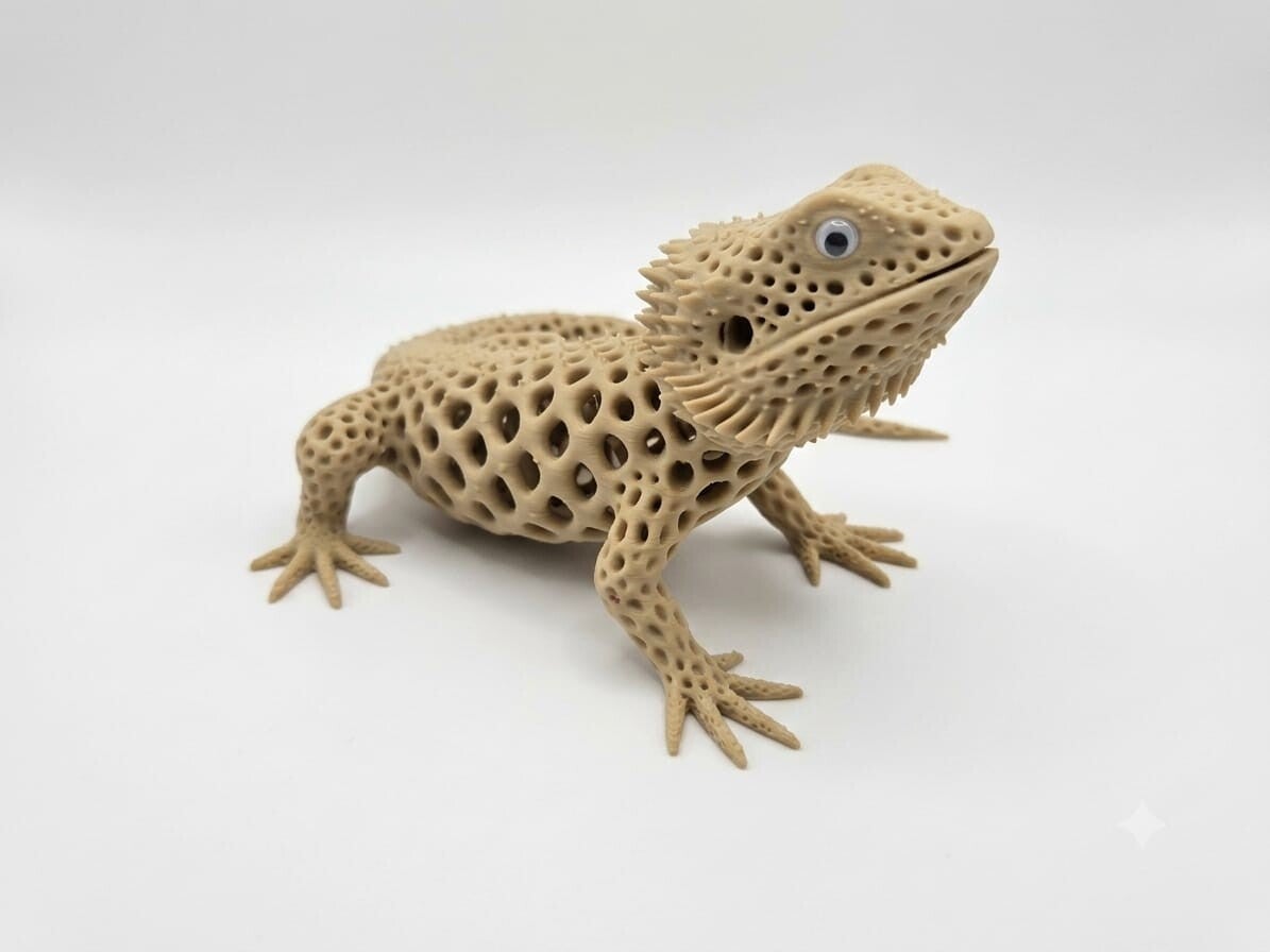 Agama brodata - Figurka 3D