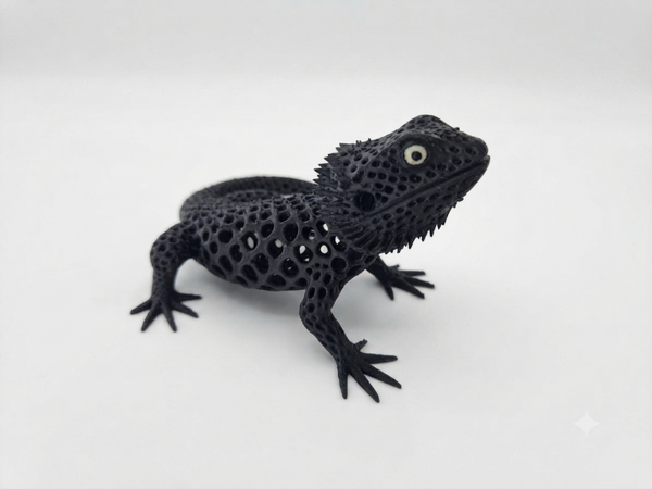 Agama brodata (Czarna) - Figurka 3D