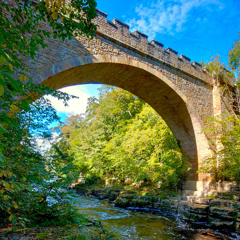 River Tees flowing beneath the stone arch of Abbey Bridge surrounded by woodland near Rokeby.