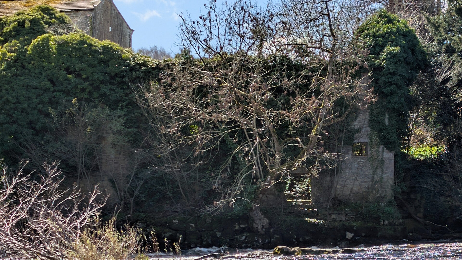 Old stone remains of Abbey Mill beside the River Tees below Egglestone Abbey, showing ivy-covered riverside masonry linked to the later mill complex.