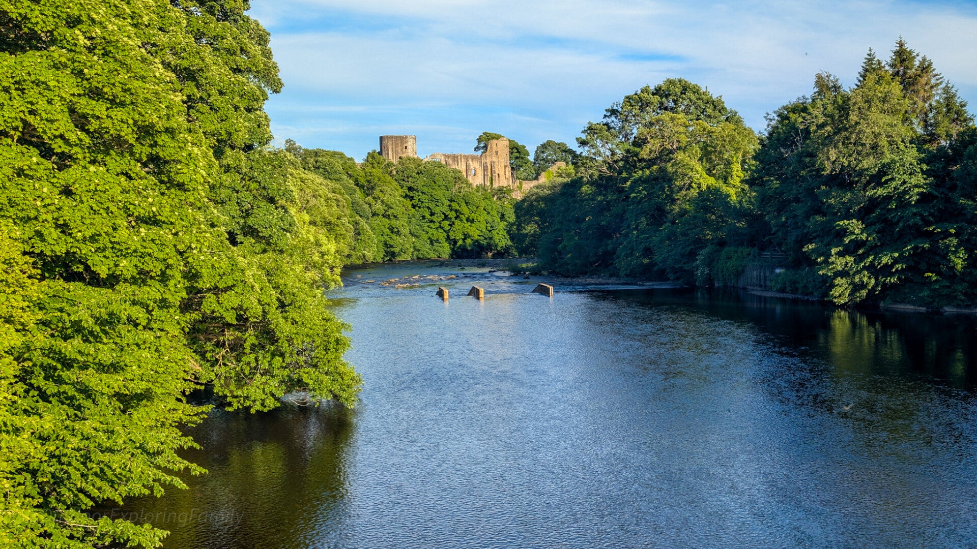 River Tees flowing through woodland below Barnard Castle in County Durham