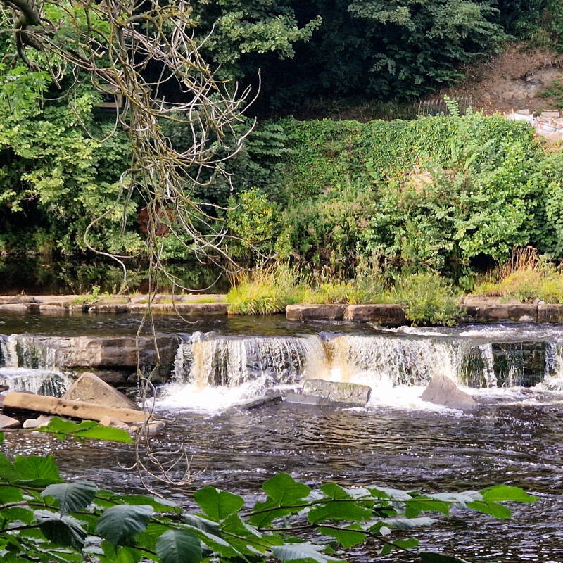 Old weir on the River Tees along the Barnard Castle to Egglestone Abbey walk