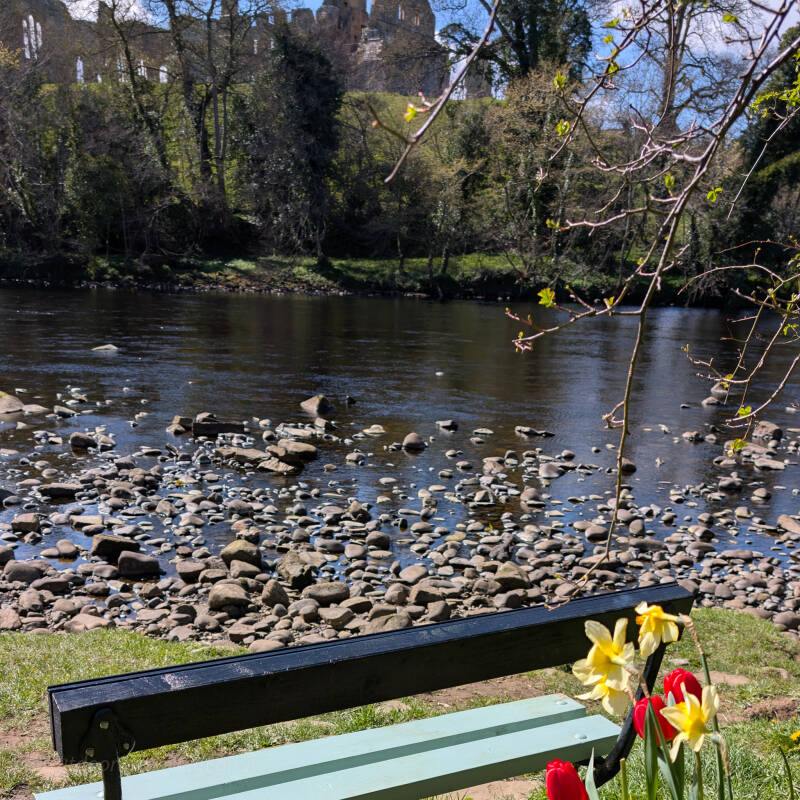 Bench overlooking the River Tees with views towards Egglestone Abbey near Barnard Castle