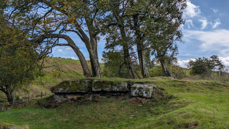 Wider view of the recorded prehistoric rock art outcrop near Mere Beck and Blackton Reservoir in Baldersdale, Teesdale.