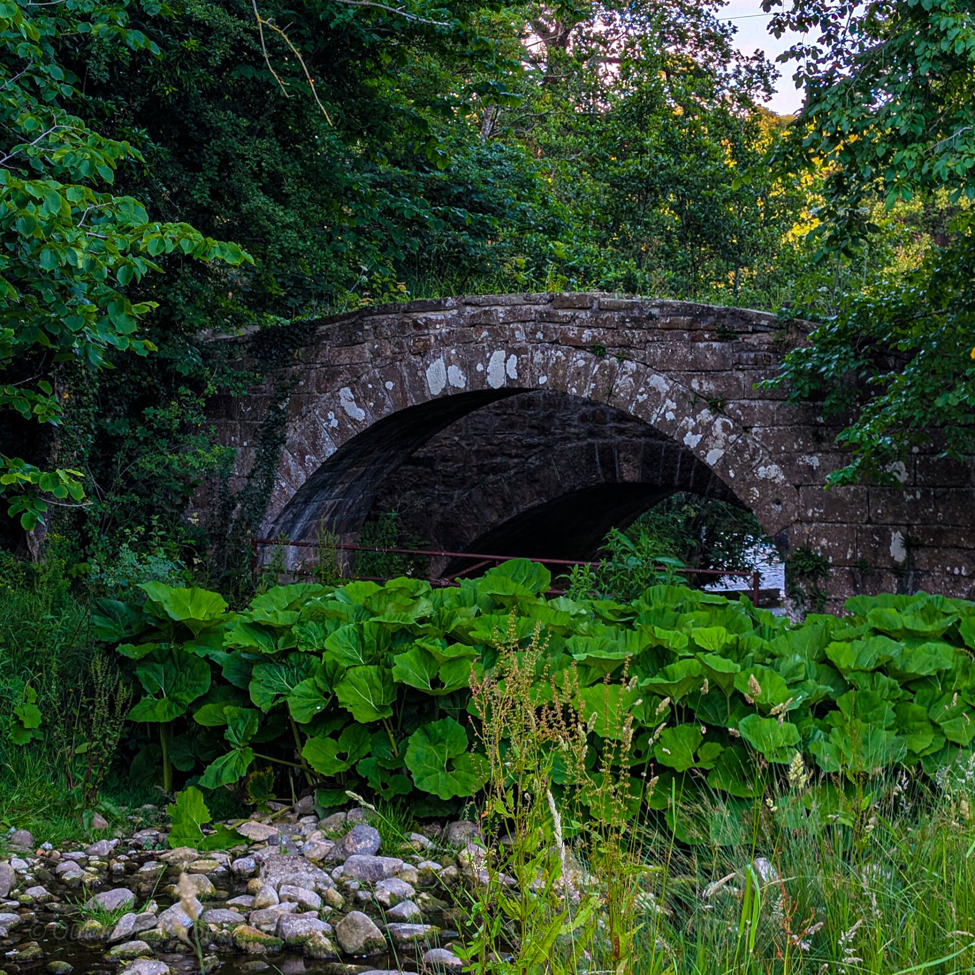 Historic stone Bow Bridge crossing Thorsgill Beck beside Egglestone Abbey near Barnard Castle.