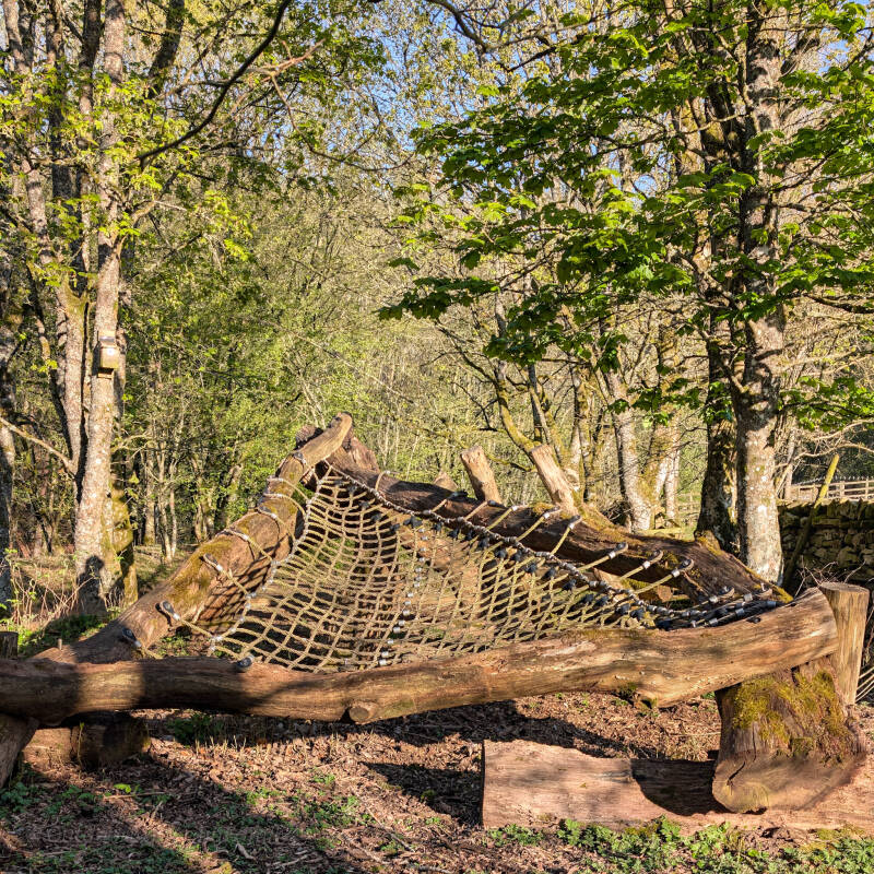 Wooden stargazing hammock at Bowlees Visitor Centre surrounded by woodland in Upper Teesdale