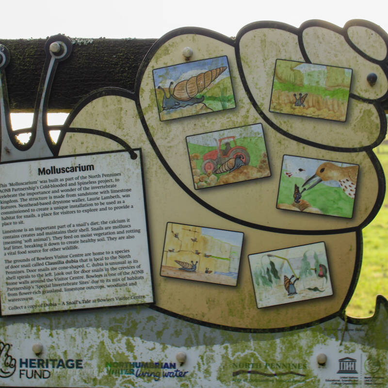 Information sign explaining the Bowlees Molluscarium and snail habitat in the North Pennines