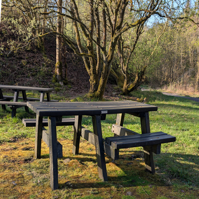 Accessible picnic bench at Bowlees Quarry surrounded by woodland and open space