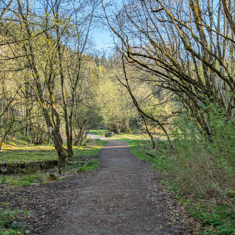 Gravel path leading from Bowlees Visitor Centre towards Bowlees Quarry beside Bow Lee Beck