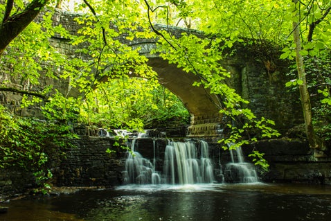A hidden waterfall at Bowlees visitor centre