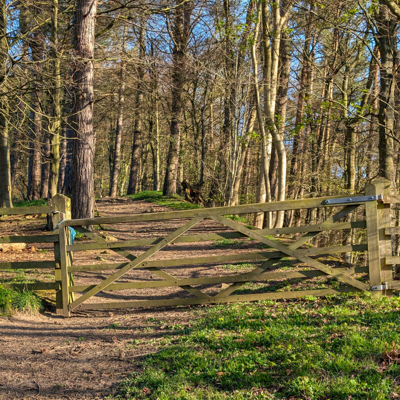 Wooden gate entrance into Bowlees Woods from Bowlees Visitor Centre in Upper Teesdale