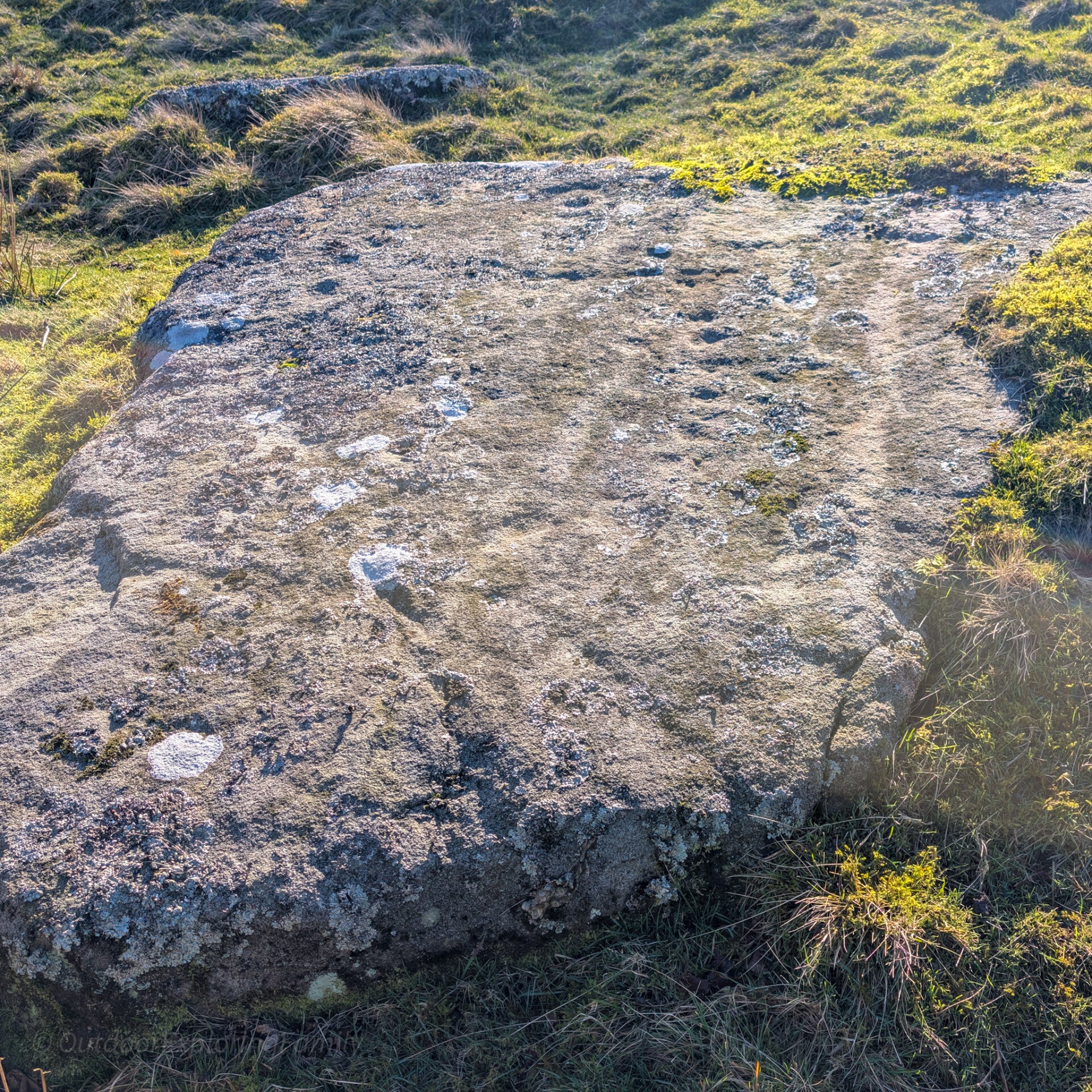 Prehistoric cup and ring rock art on Cotherstone Moor near Barnard Castle, ancient carvings visible on a large moorland stone