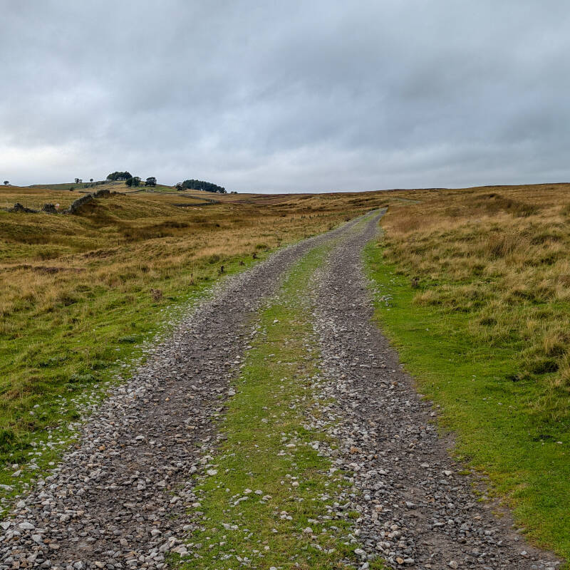 Gravel track leading across Cotherstone Moor towards the tank wreck near Battle Hill