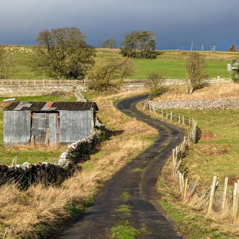 Quiet country lane near God's Bridge and Bowes, surrounded by dry stone walls and open Teesdale countryside