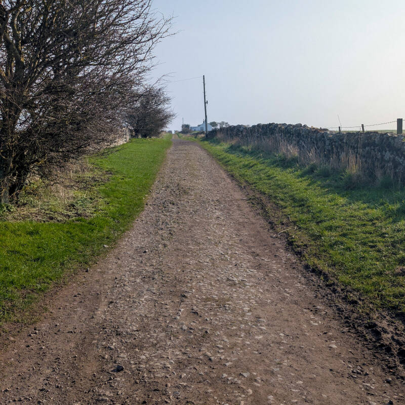 Crooked Lonnen track crossing the fields on the Holy Island circular walk