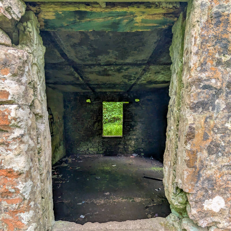 Abandoned stone butts building at Deepdale Rifle Range near Barnard Castle, partly hidden by ferns and woodland growth.