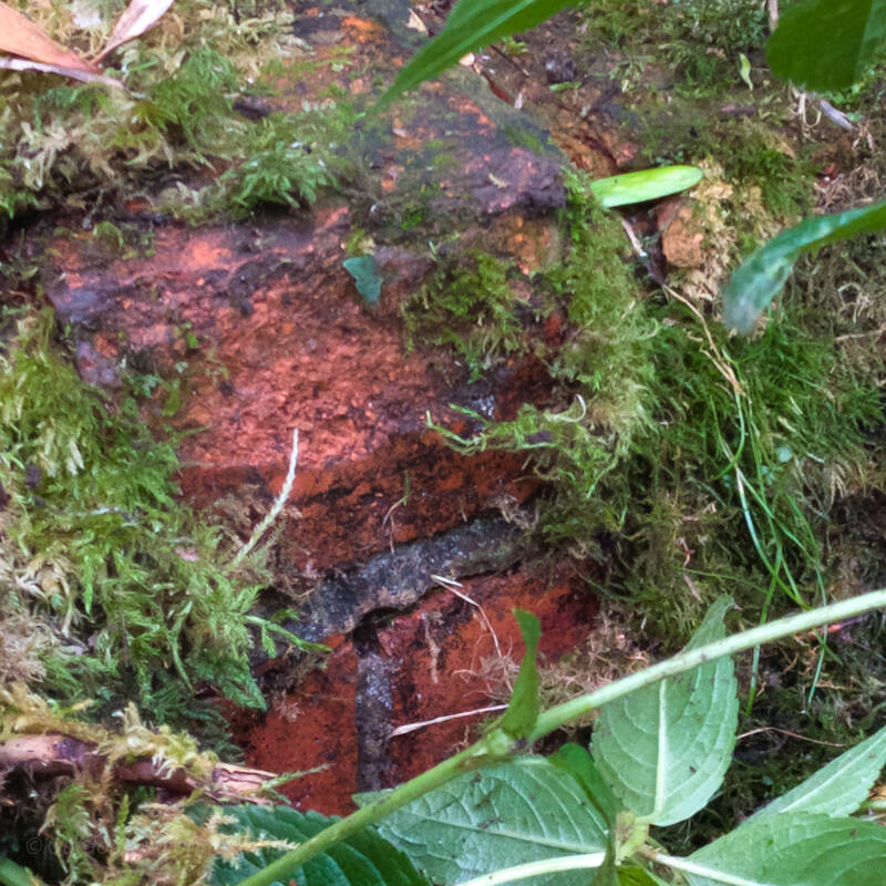 Moss‑covered red brickwork marking the raised ground of the 150‑yard firing point at Deepdale Rifle Range near the bridge
