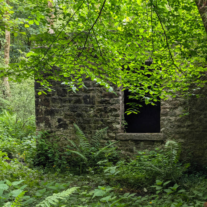 Interior of the Deepdale Rifle Range butts building showing stone walls, concrete ceiling and window openings looking out to woodland.