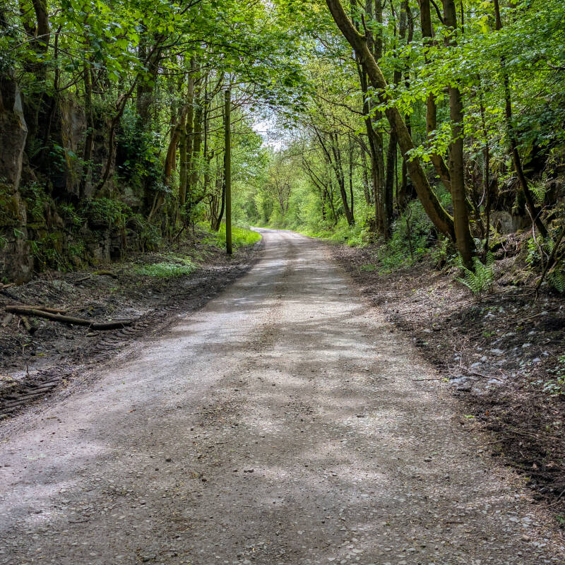 The quiet road from Lartington leading into Deepdale Woods, following the old railway trackbed towards the former viaduct site.