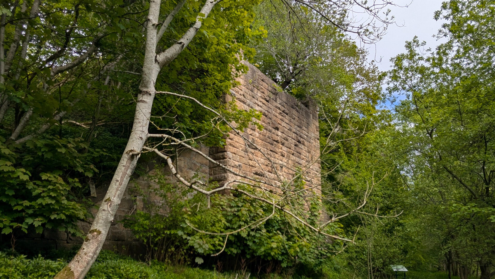 Lartington‑side stone support of Deepdale Viaduct, built by D P Appleby, now surrounded by trees and undergrowth in Deepdale Woods.