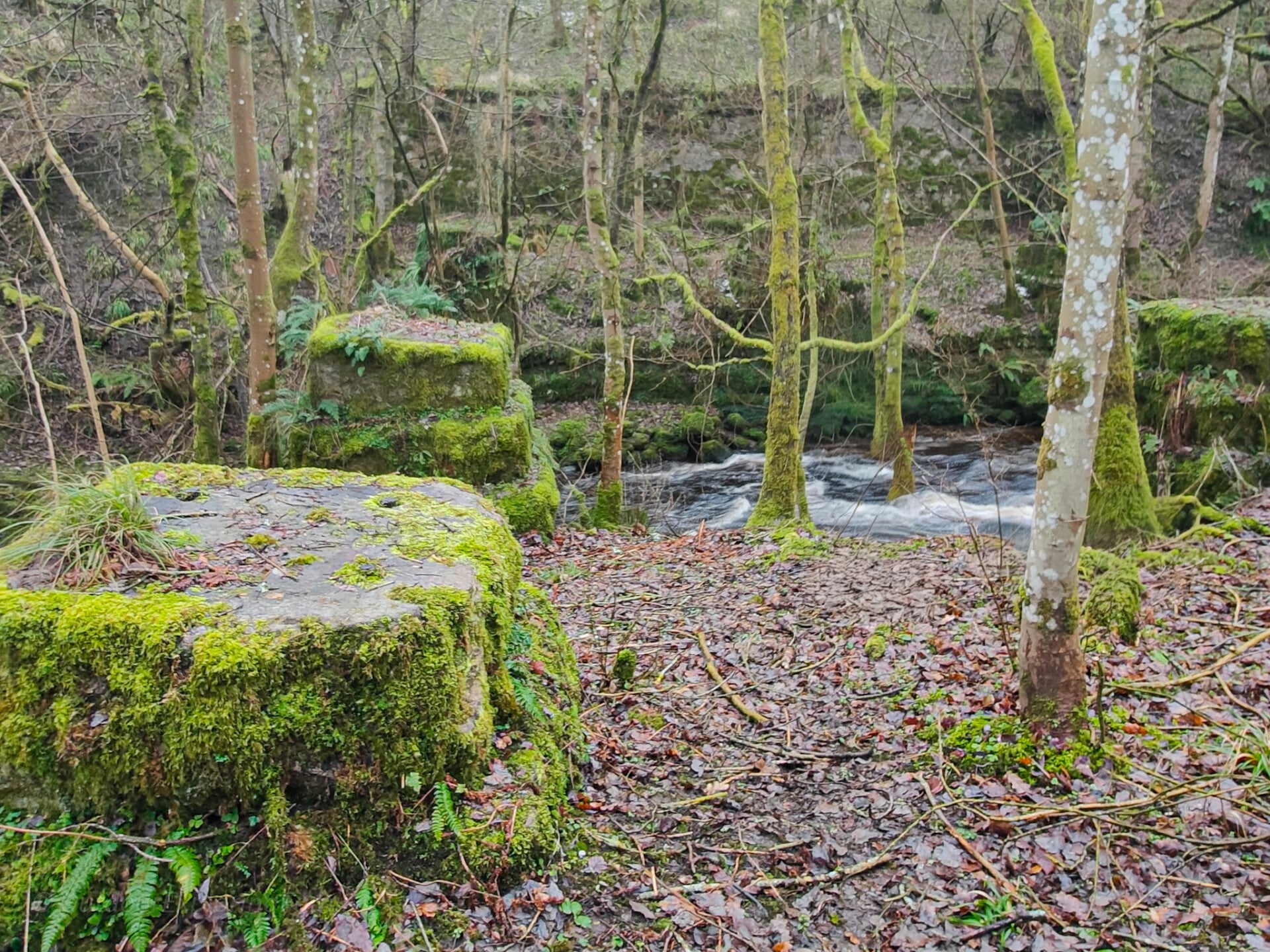Surviving stone abutment of Deepdale Viaduct near Barnard Castle
