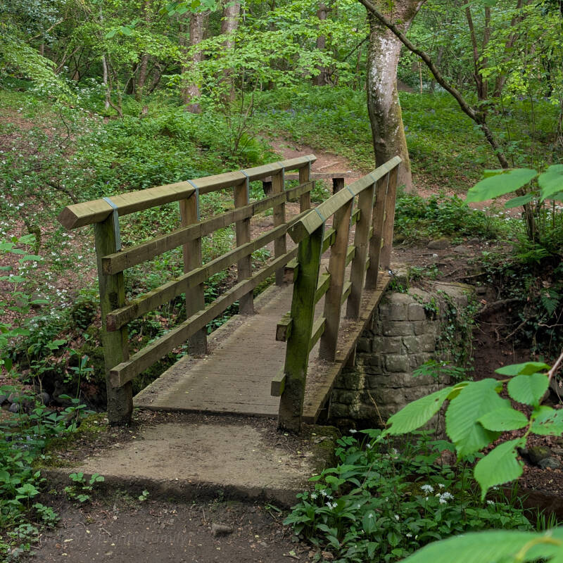 Wooden bridge crossing Deepdale Beck in Deepdale Woods, Teesdale