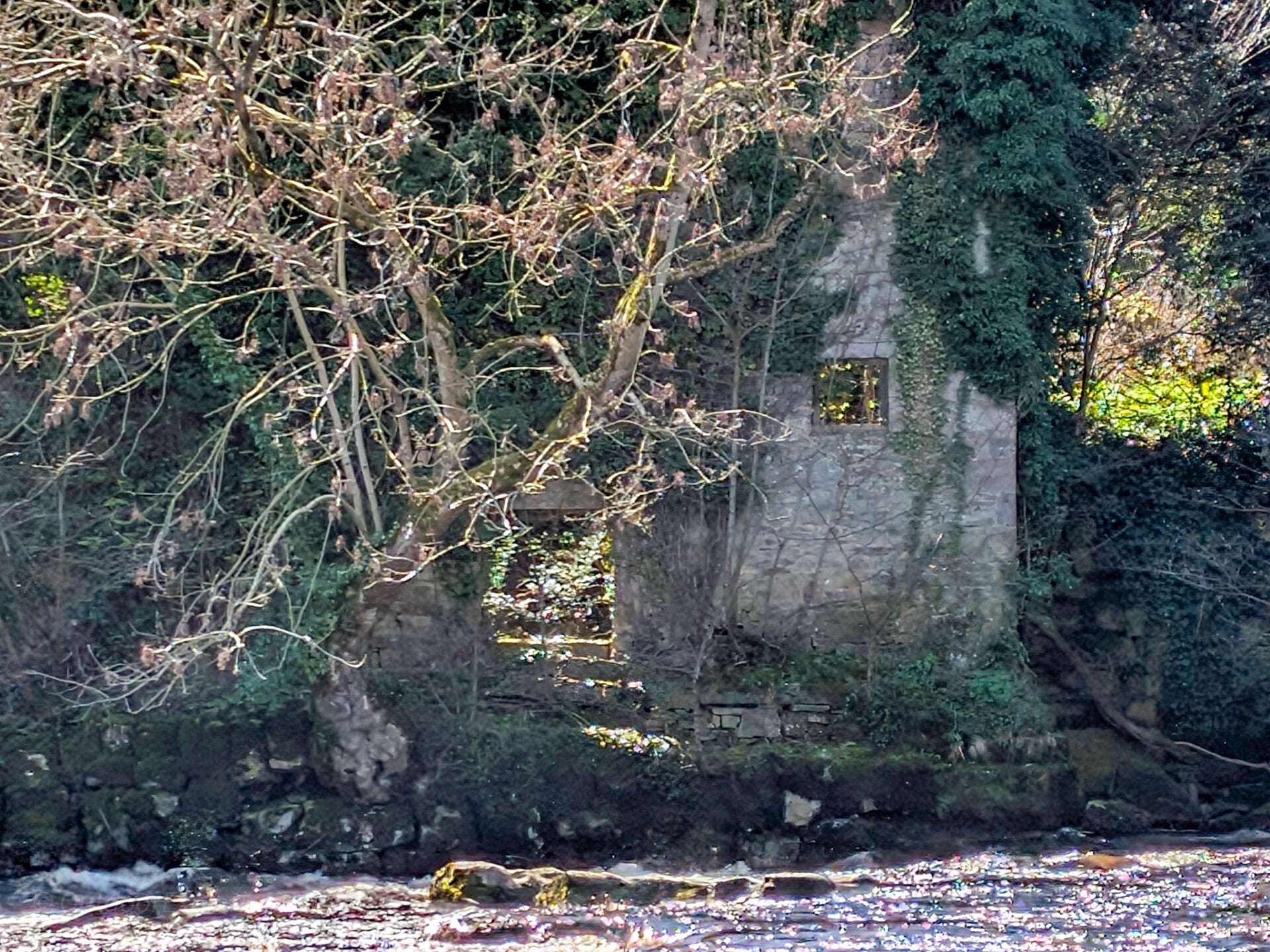 Ruined riverside building linked with the lost mill of Egglestone Abbey beside the River Tees in Teesdale