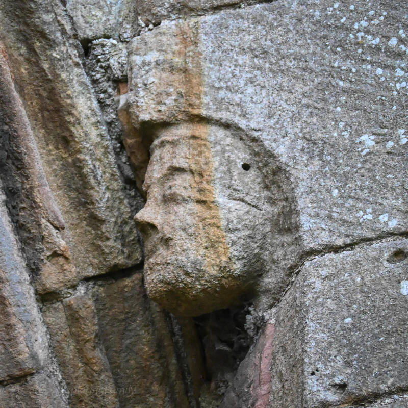 Carved medieval head built into the stonework at Egglestone Abbey.