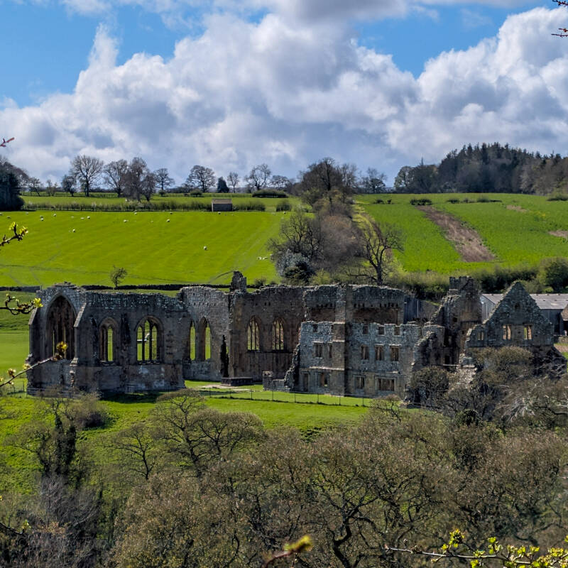 View across to Egglestone Abbey ruins from fields near Barnard Castle