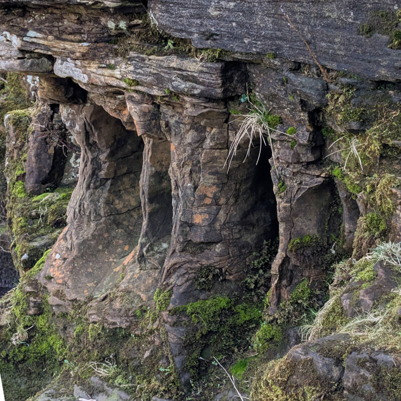 Close up of the Fairy Cupboards rock formations carved into the riverbank near Cotherstone
