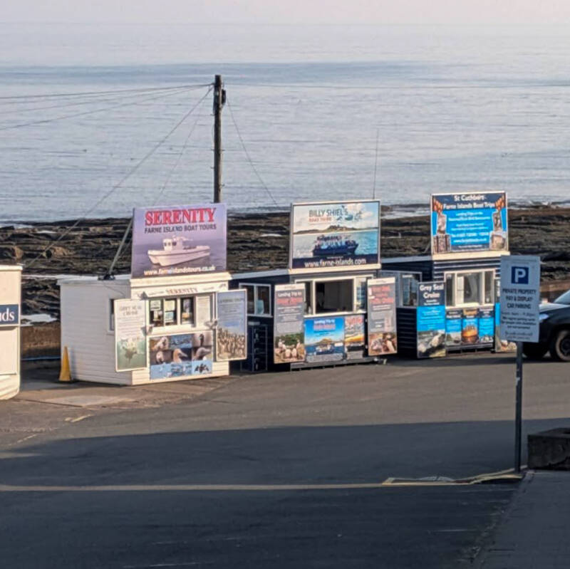 Farne Islands boat trip booking huts beside Seahouses Harbour