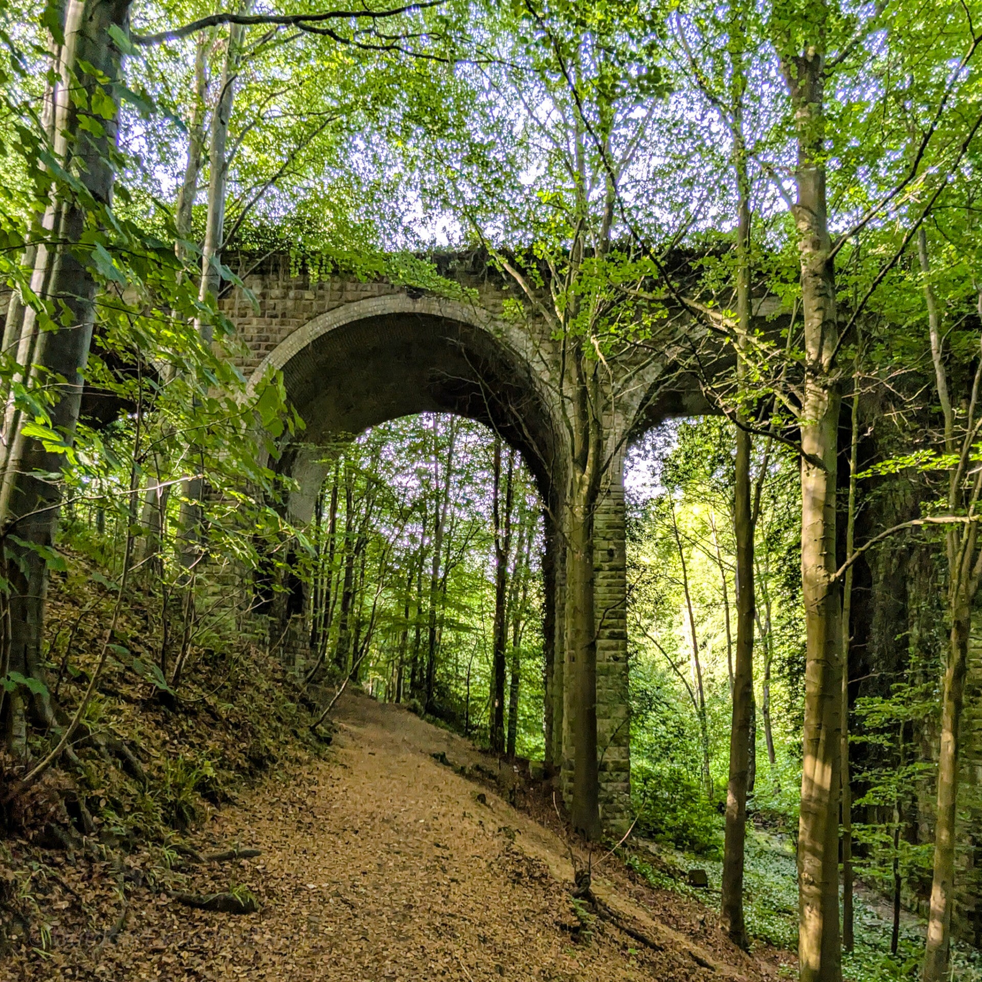 Victorian railway viaduct crossing Percy Beck in Flatts Wood, Barnard Castle, one of the woodland's most recognisable historic landmarks.