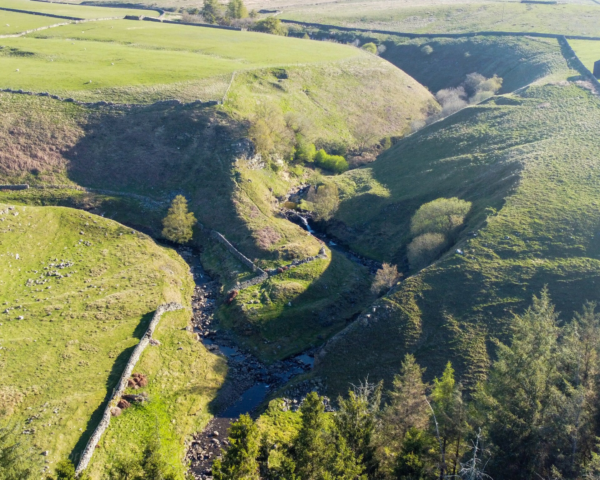 Wester Beck and Flushiemere Beck meeting to form Bow Lee Beck near Bowlees in Teesdale aerial view