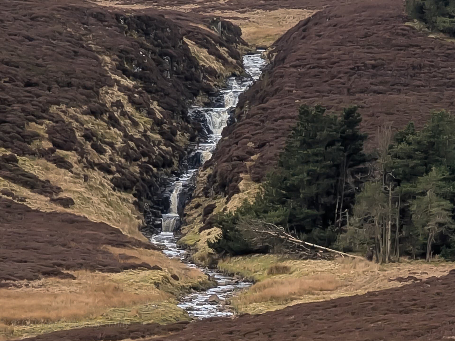 Force Burn Waterfall cascading down moorland above the River Tees near Cow Green Reservoir in Upper Teesdale