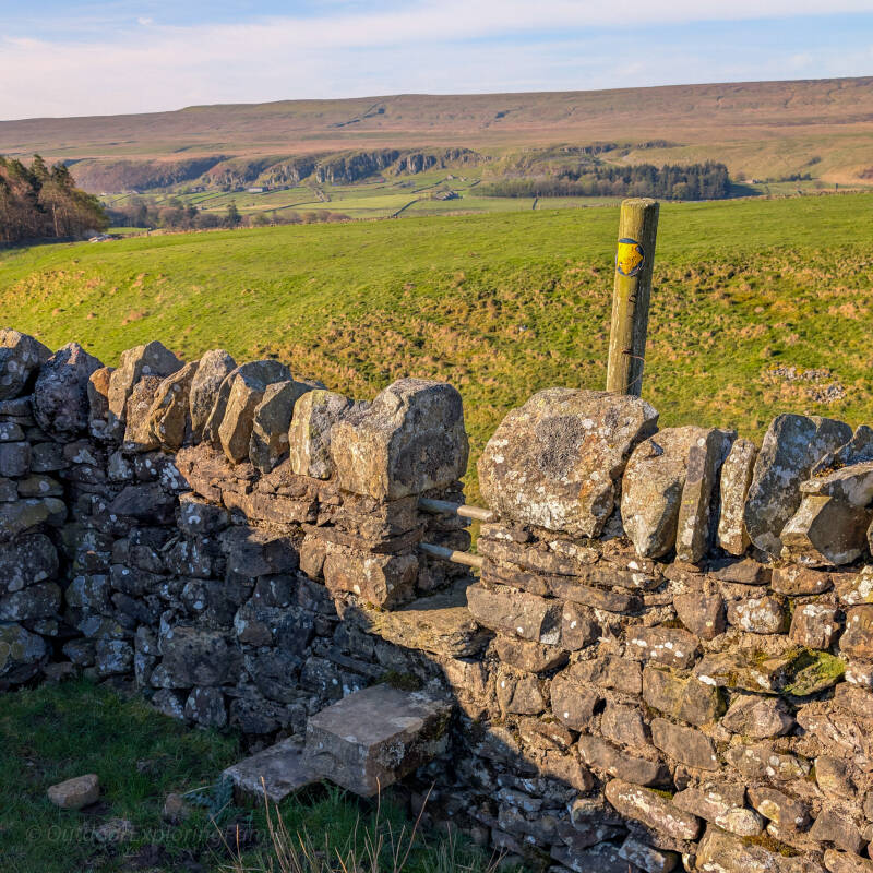 Stone wall and open Teesdale views near Bowlees woodland, a peaceful spot for forest bathing near Barnard Castle